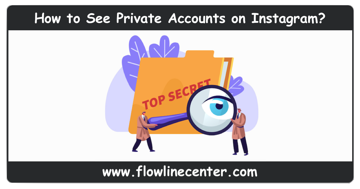 How to See Private Accounts on Instagram